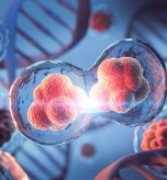 3d,Rendering,Of,Human,Cell,Or,Embryonic,Stem,Cell,Microscope