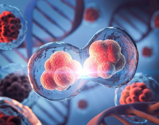 3d,Rendering,Of,Human,Cell,Or,Embryonic,Stem,Cell,Microscope