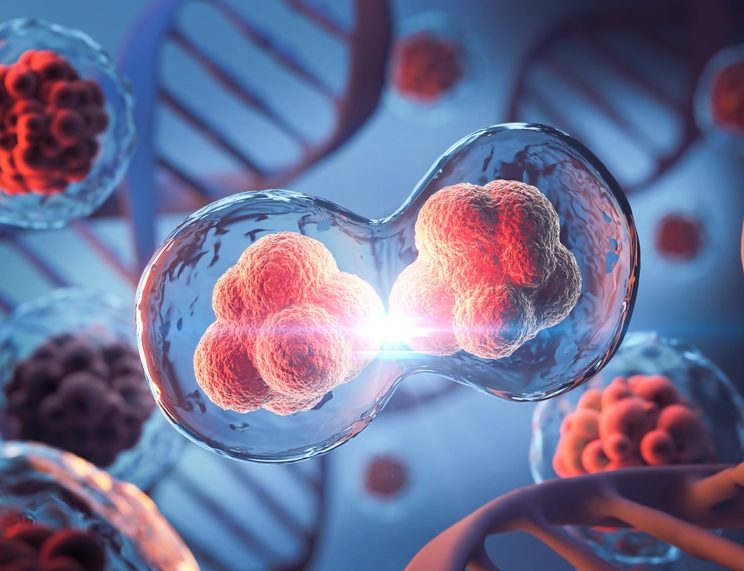 3d,Rendering,Of,Human,Cell,Or,Embryonic,Stem,Cell,Microscope